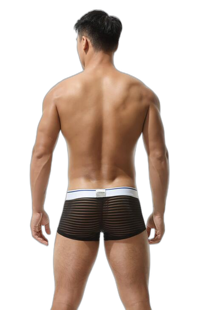 Men's Sexy Transparent Striped Trunks