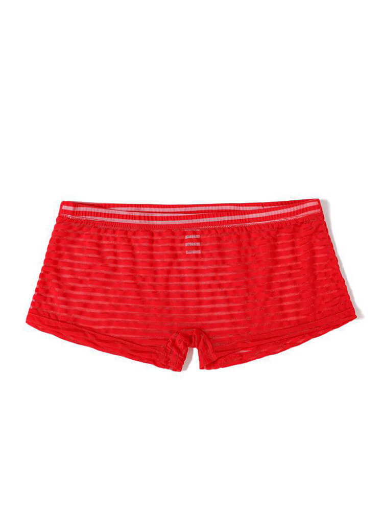 Men's Striped Mesh See-Through Boxer Briefs