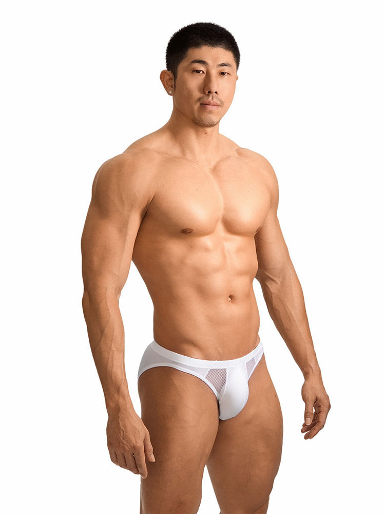 2 Pack Men's Sheer Mesh Low-Rise Sexy Ice Silk Briefs