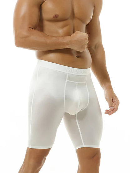 Men's Quick-Dry Ice Silk Sports Boxer Briefs