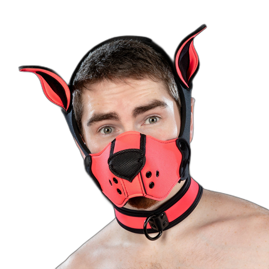 Mr S Leather Neoprene K9 Kit Muzzle Pink
