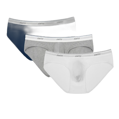 3 Pack THROWBACK Briefs