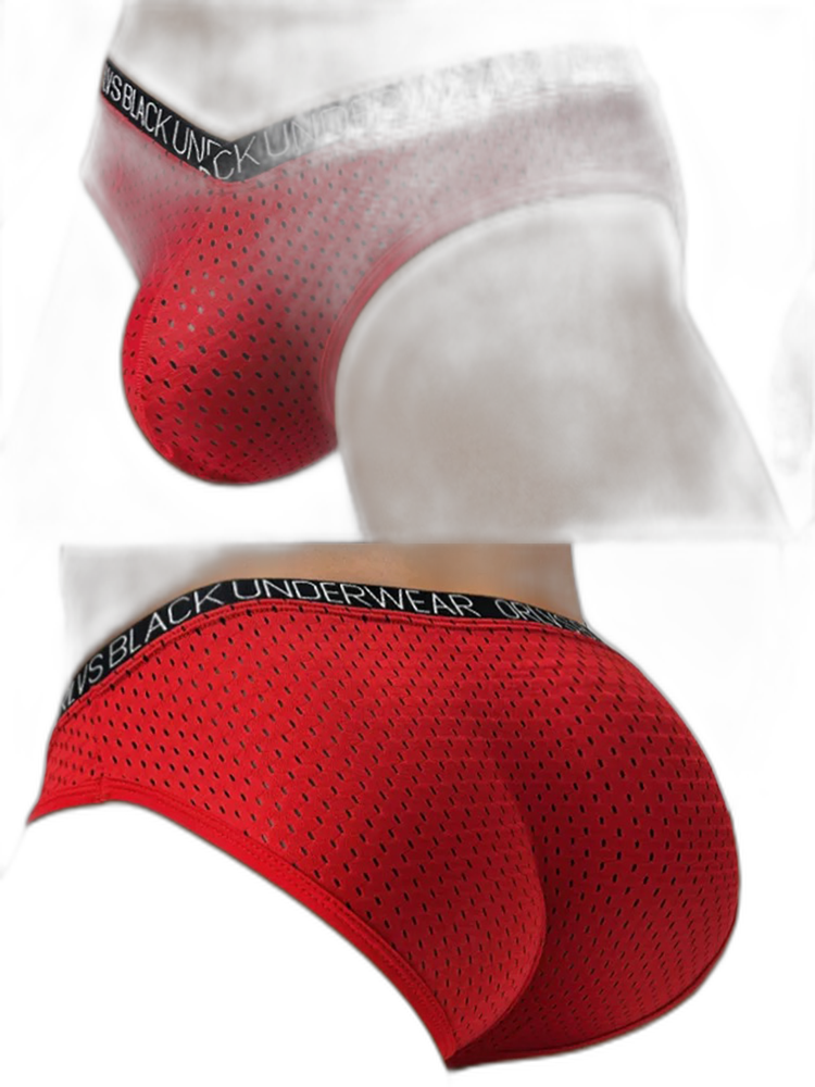 2 Pack Men's Sexy V-shape Waistband Mesh Bikinis