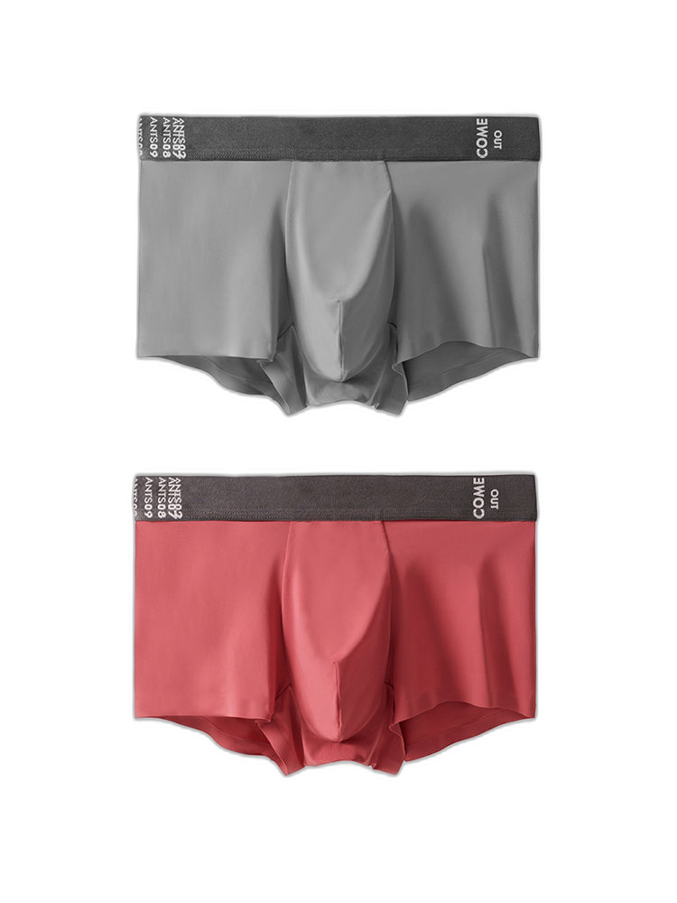 2 Pack Men's Premium Ultra-Thin Seamless Ice Silk Stretch Fit Trunks