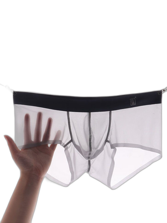 Men's Transparent Sexy Ice Silk Seamless Boxer Briefs