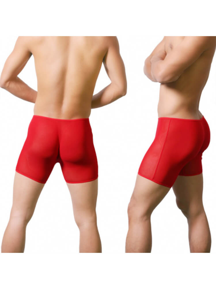 Men's Mesh See-Through Sexy Solid Boxer Briefs