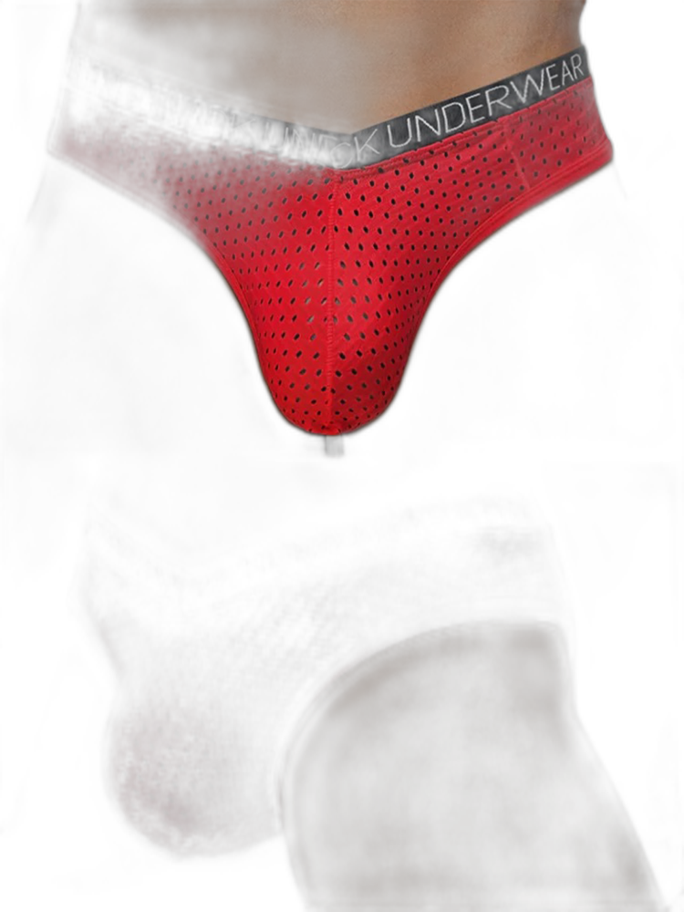 2 Pack Men's Sexy V-shape Waistband Mesh Bikinis