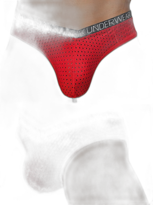 2 Pack Men's Sexy V-shape Waistband Mesh Bikinis