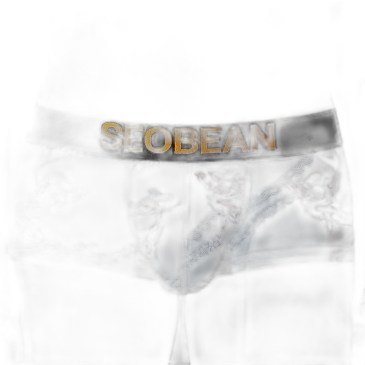SEOBEAN Year of the Pisces Briefs