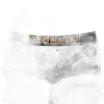 SEOBEAN Year of the Pisces Briefs