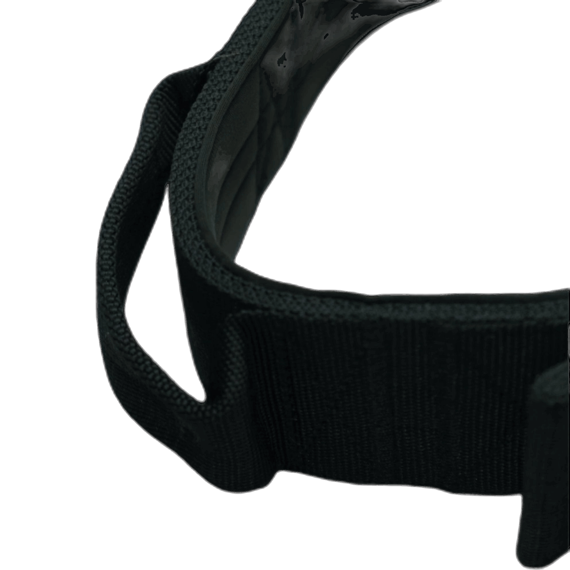 Pure Dog K9 Sport Collar Black
