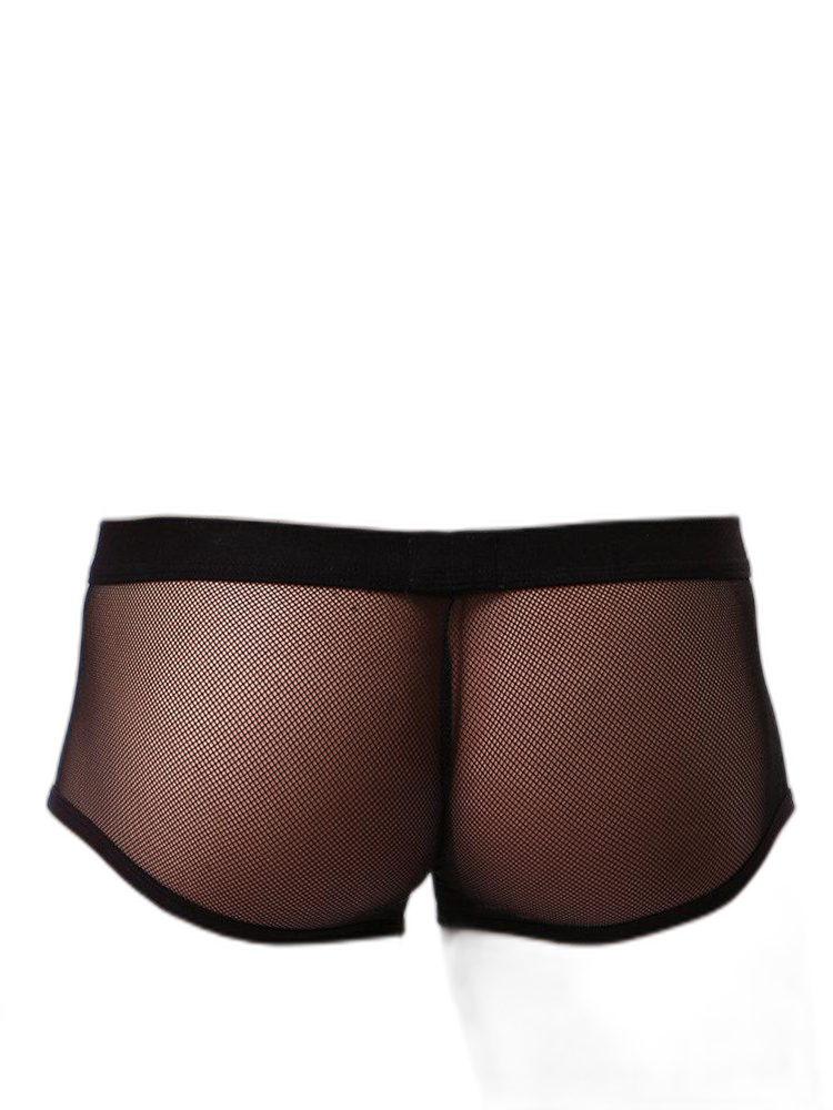 Men's Sexy Transparent Mesh Trunks