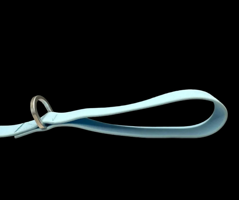 Tactical Carabiner Clip Lead Blue