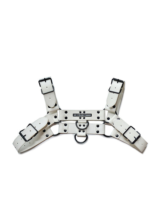 D.M Gorgeous Leather Adjustable Sexy Harness
