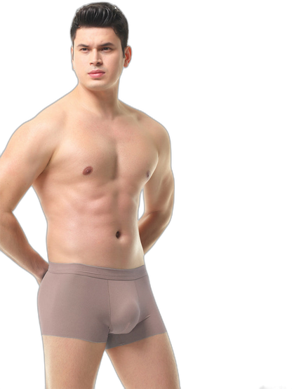 4 Pack Men's Ice Silk Seamless Trunks Underwear