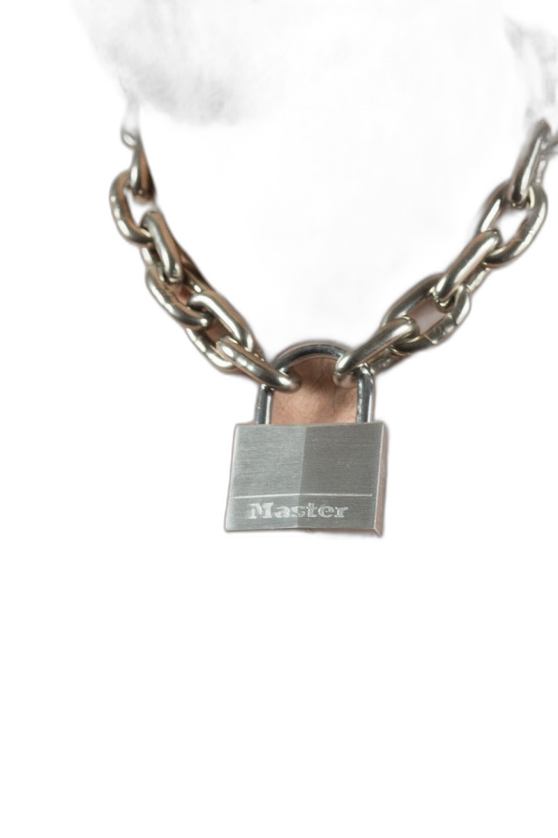 ruff GEAR Pitbull Chain 8mm with 60mm Master Lock