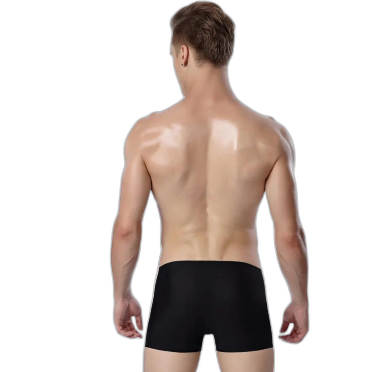 Ice Embrace Transparent Boxer Briefs (4 Pack)