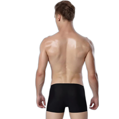 Ice Embrace Transparent Boxer Briefs (4 Pack)