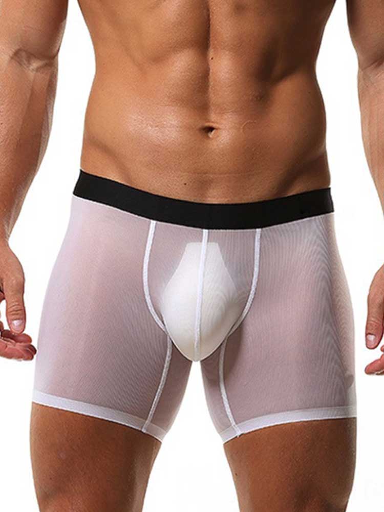 Men's Sheer Stretchy Seamless Anti-Chafing Boxer Briefs
