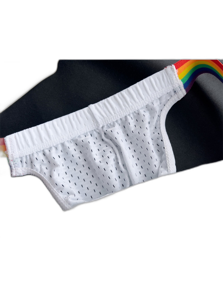 Men's Sexy Rainbow Pride Mesh Bikini