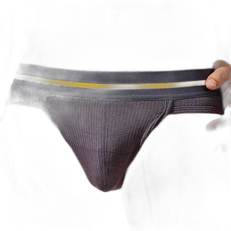 Tauwell Retro Era Briefs