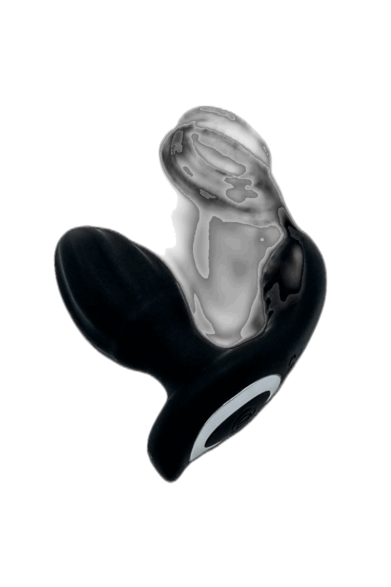 Double Ring Rotary Anal Plug