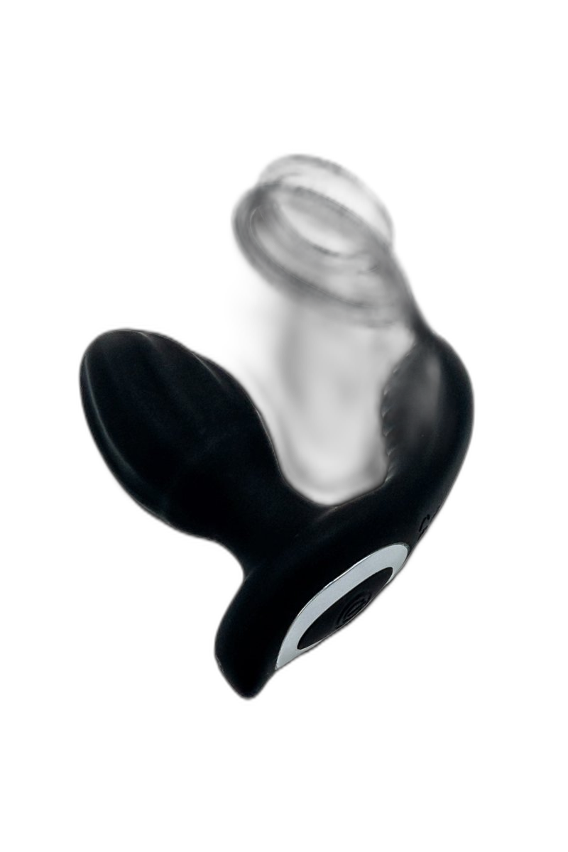Double Ring Rotary Anal Plug