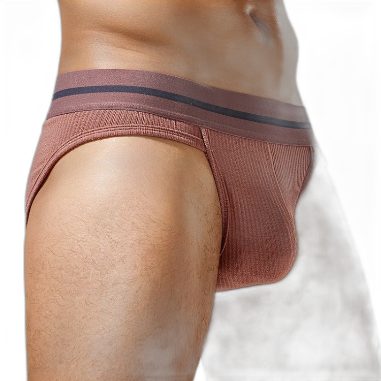 Tauwell Retro Era Briefs