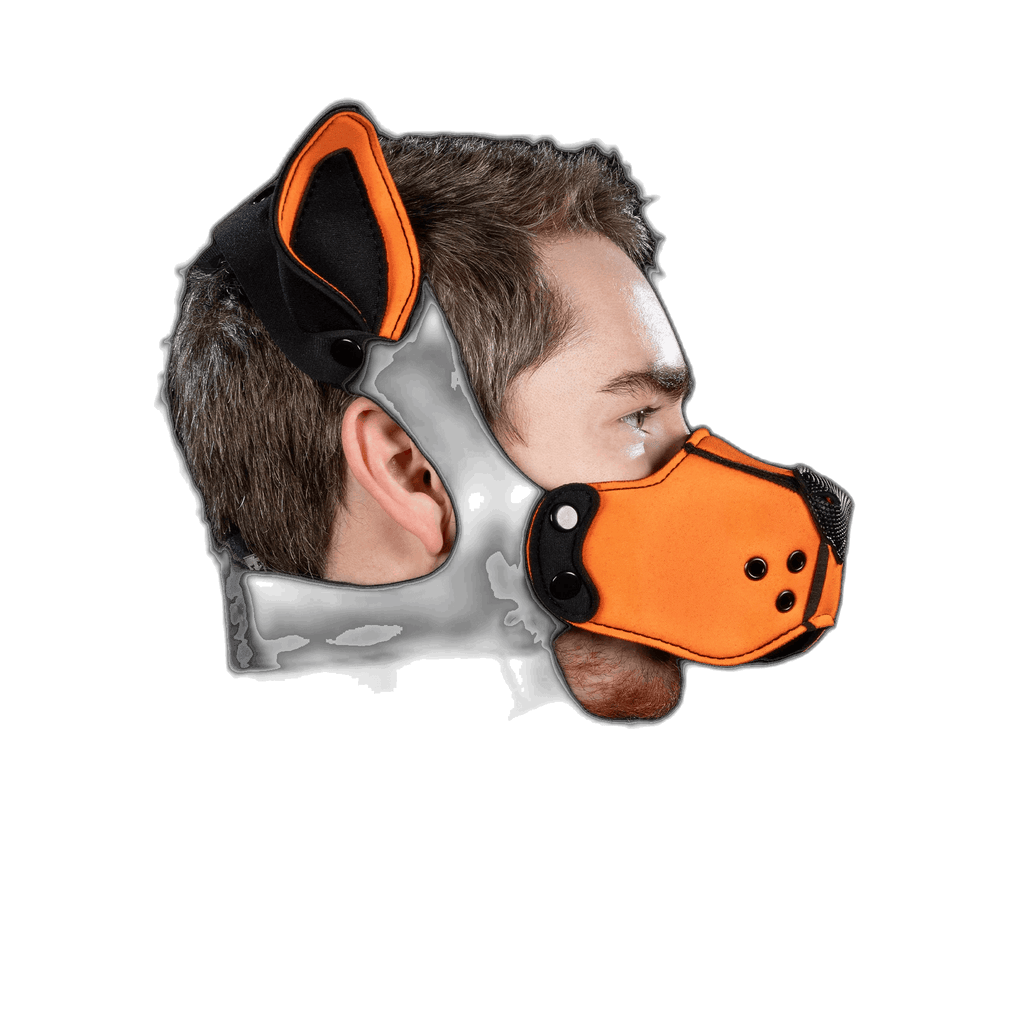 Mr S Leather Neoprene K9 Kit Orrange
