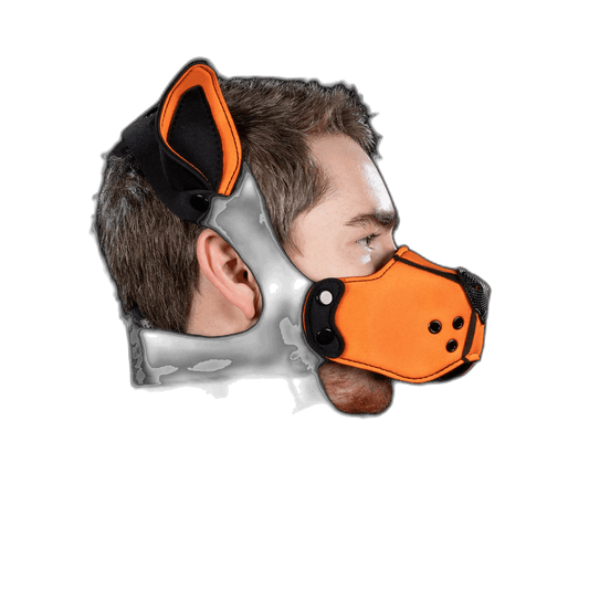 Mr S Leather Neoprene K9 Kit Orrange