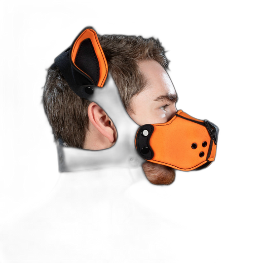 Mr S Leather Neoprene K9 Kit Ears Orange