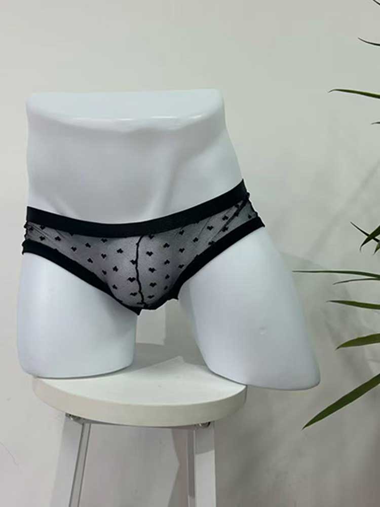 Men's Sexy Lace Sheer Multi-Style Underwear