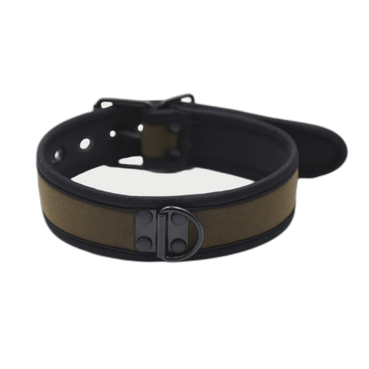 Coloured Adjustable Neck Collar