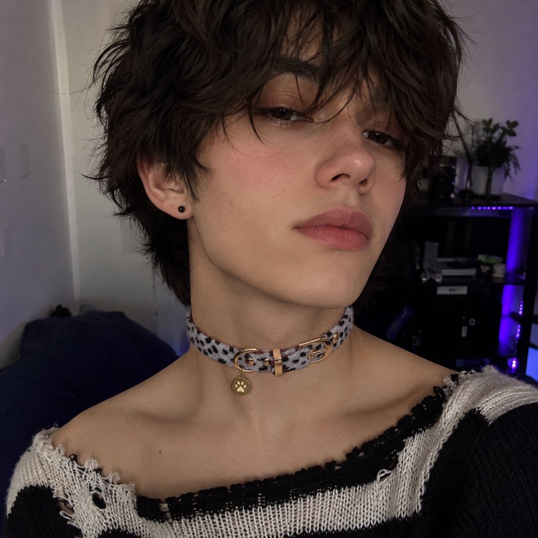 Princess Paw Choker