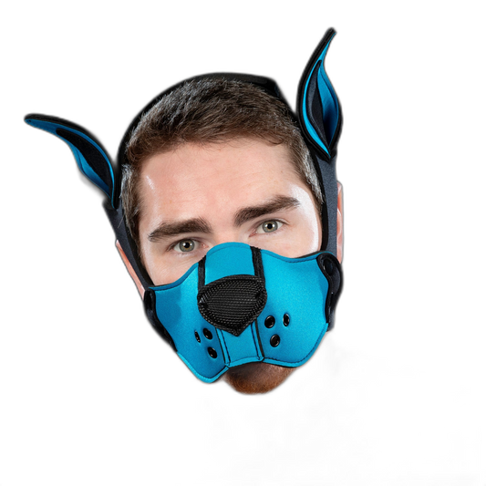 Mr S Leather Neoprene K9 Kit Aqua