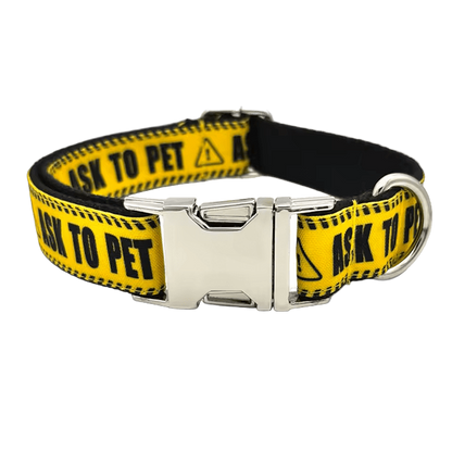 Custom Ask To Pet Collar