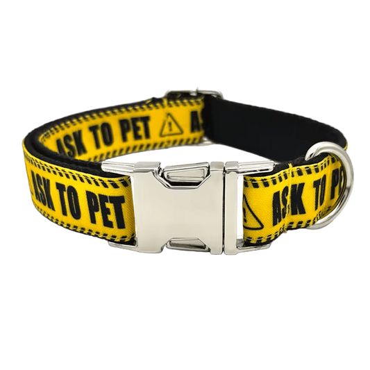 Custom Ask To Pet Collar