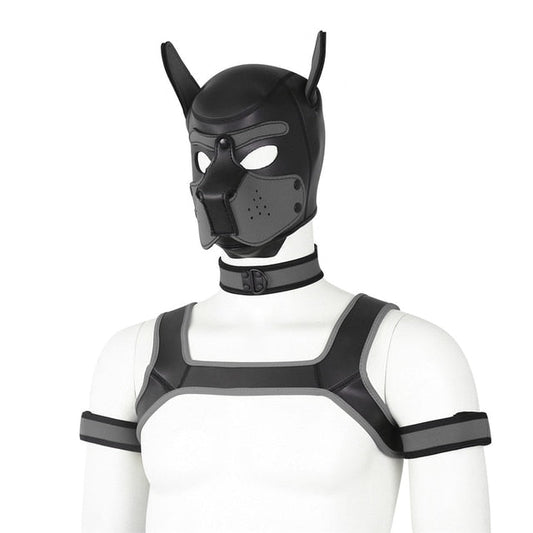 Neoprene Gay Pup Gear Starter Kit