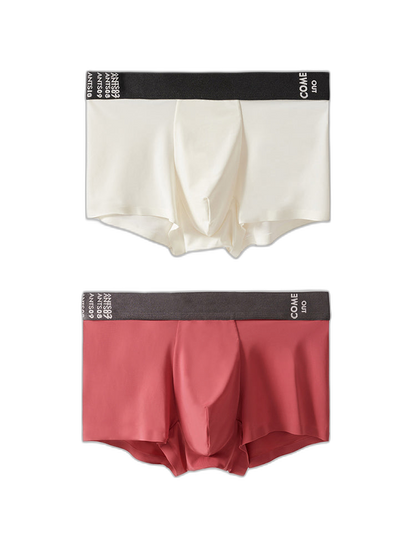 2 Pack Men's Premium Ultra-Thin Seamless Ice Silk Stretch Fit Trunks