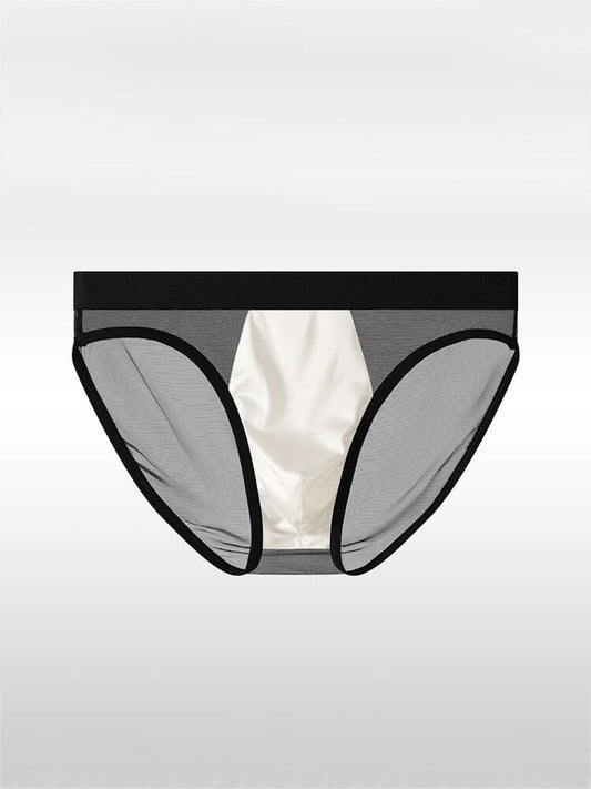 Men's Sexy Sheer Mesh Satin Pouch Briefs