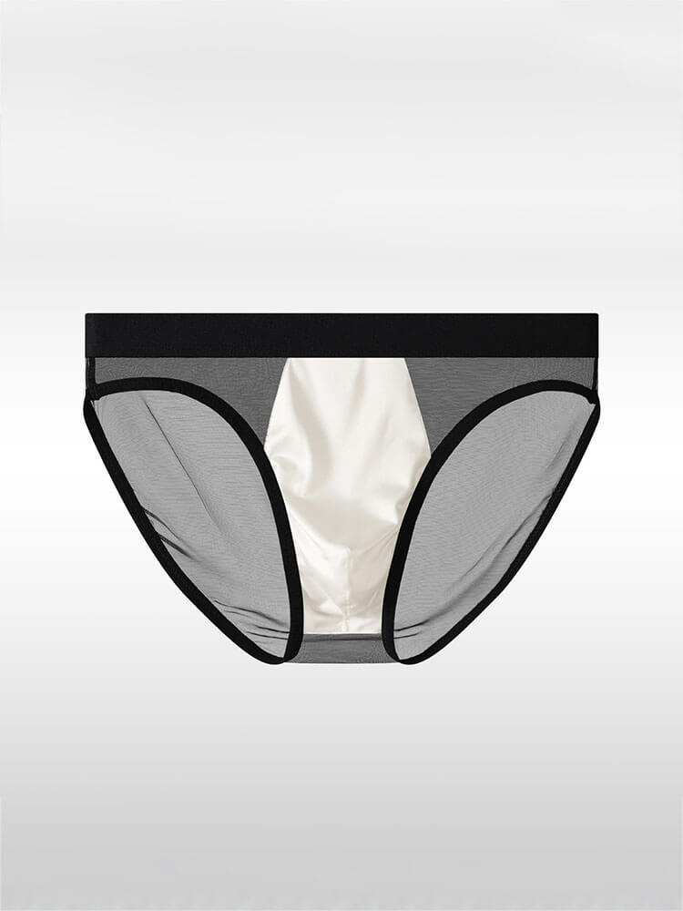 Men's Sexy Sheer Mesh Satin Pouch Briefs