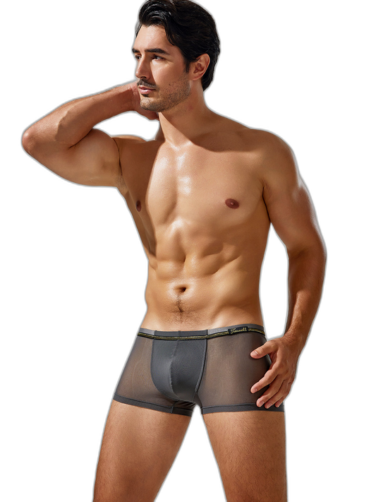 Men's Sexy Low-rise Mesh Trunks