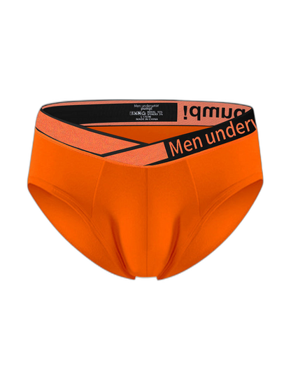 2 Pack Men's Stylish V-Shaped Waistband Briefs