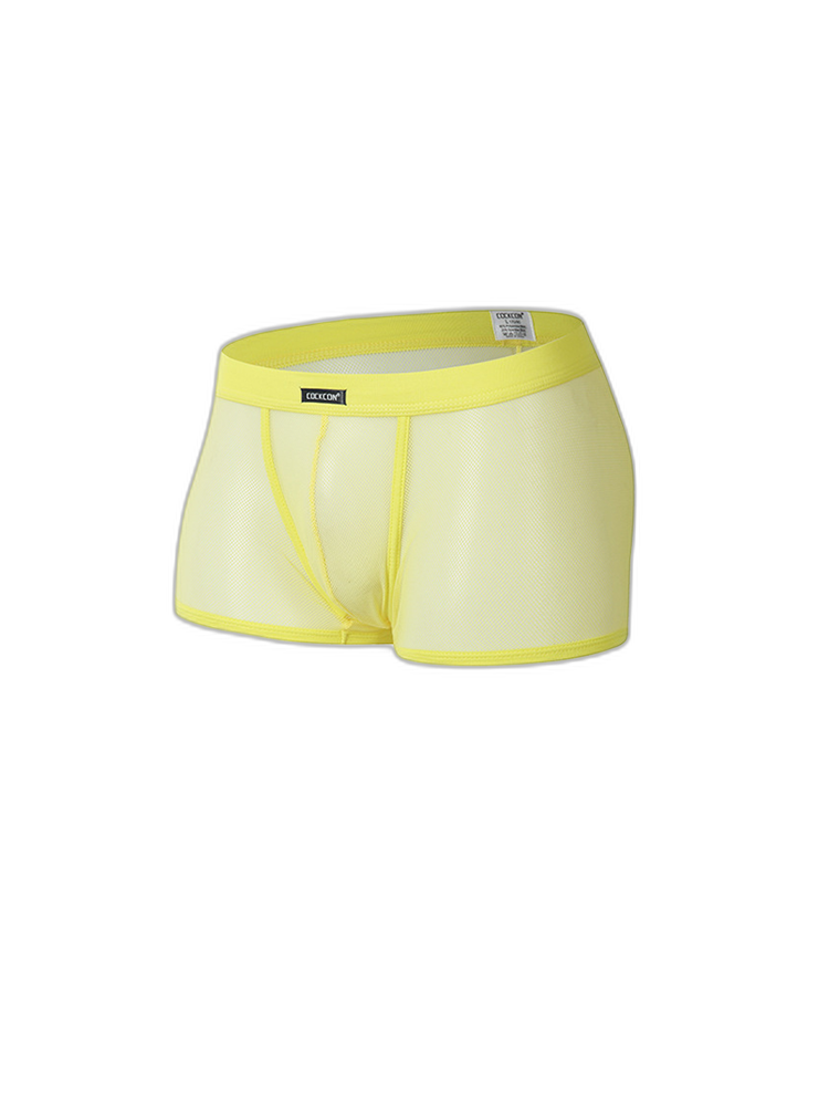 Men's Sexy Transparent Mesh Trunks