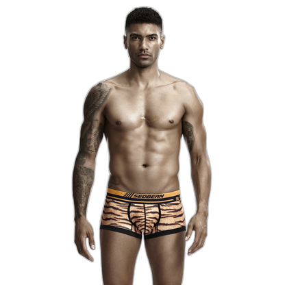 Seobean Tiger Boxers