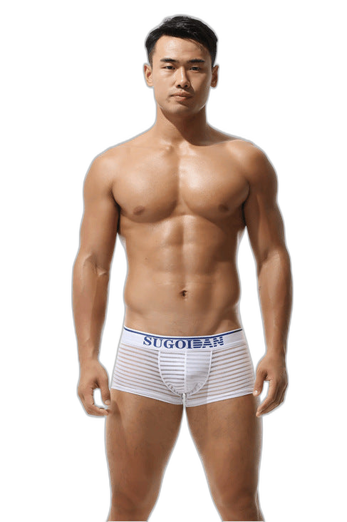 Men's Sexy Transparent Striped Trunks