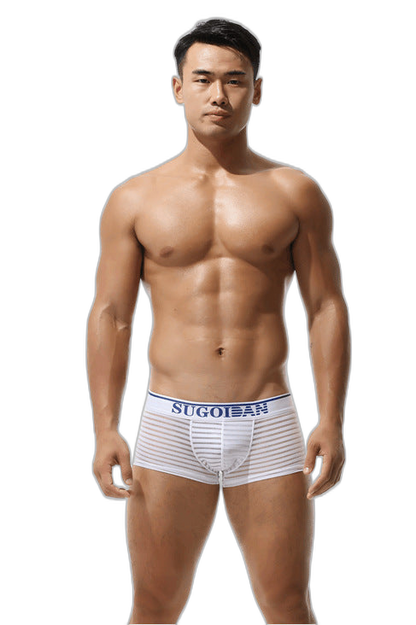 Men's Sexy Transparent Striped Trunks