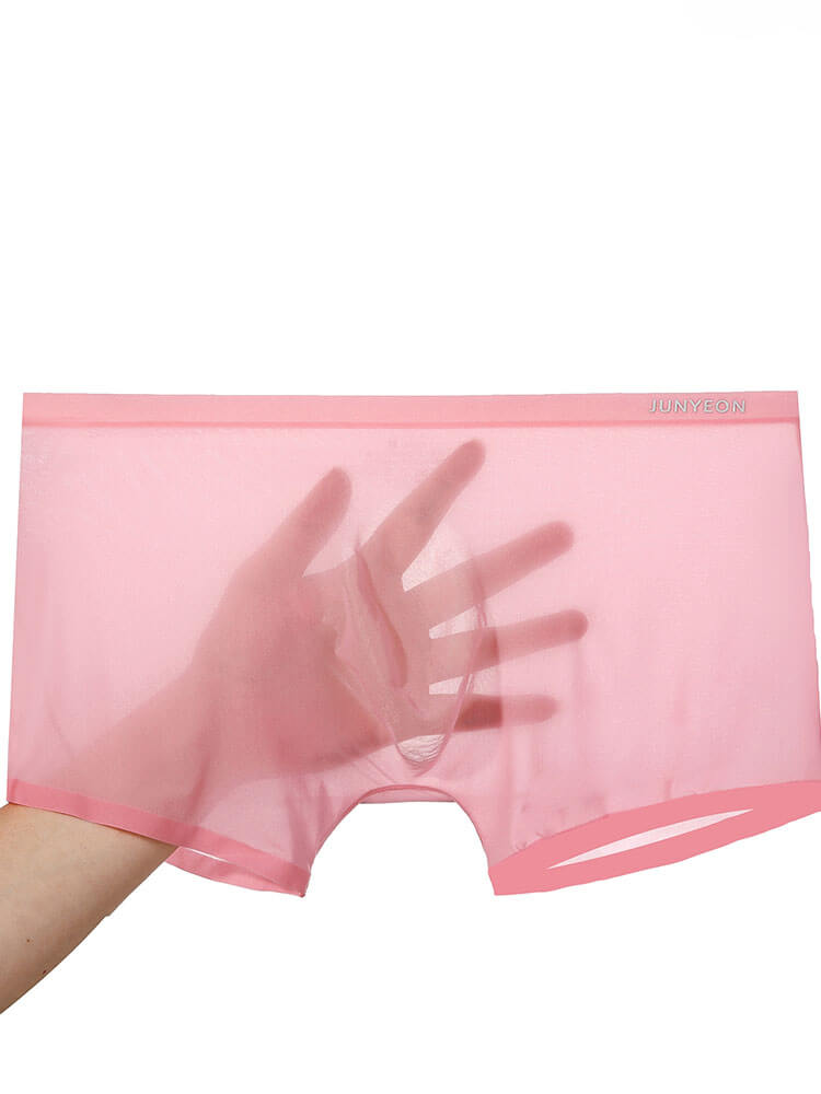 Men's Sexy Sheer Ultra-Thin Ice Silk Boxer Briefs