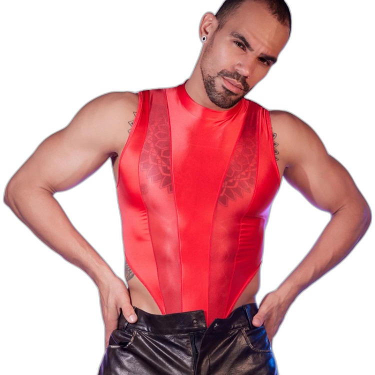Transparent Tease Mesh Bodysuit