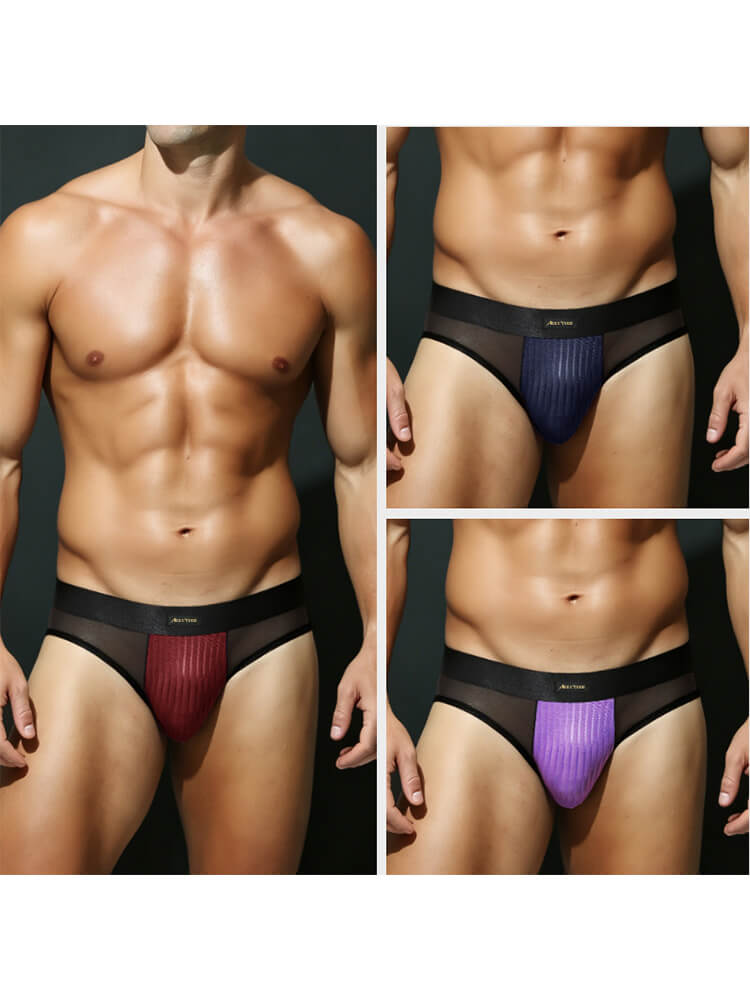 Men's Low-Rise Sexy Mesh-Paneled Breathable Briefs